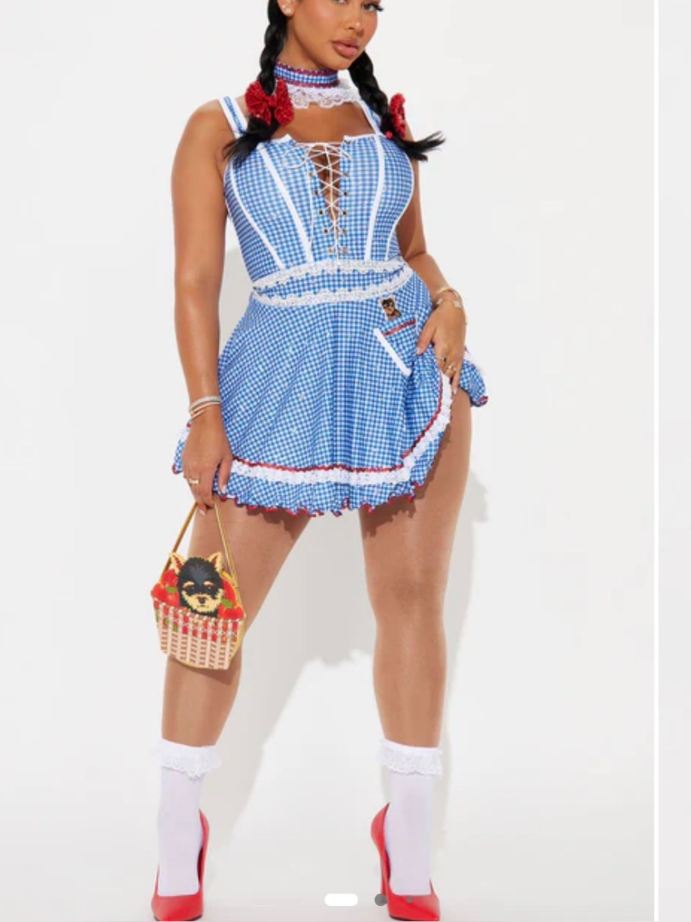 Wizard of Oz Dorothy Kansas Cutie Costume Toto M medium dress and bag